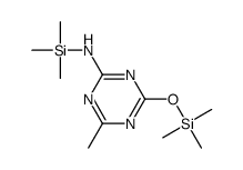 4-methyl-N-trimethylsilyl-6-trimethylsilyloxy-1,3,5-triazin-2-amine Structure