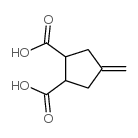 4-METHYLENE-CYCLOPENTANE-1,2-DICARBOXYLIC ACID Structure