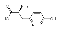 beta-(5-hydroxy-2-pyridyl)alanine结构式