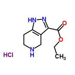 4,5,6,7-Tetrahydro-1H-pyrazolo[4,3-c]pyridine-3-carboxylic acid ethyl ester hydrochloride picture