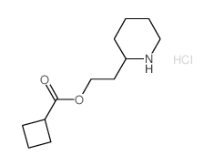 2-(2-Piperidinyl)ethyl cyclobutanecarboxylate hydrochloride结构式