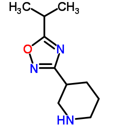 5-Isopropyl-3-(piperidin-3-yl)-1,2,4-oxadiazole结构式