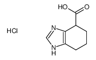 4,5,6,7-tetrahydro-1H-benzimidazol-4-carboxylic acid hydrochloride Structure