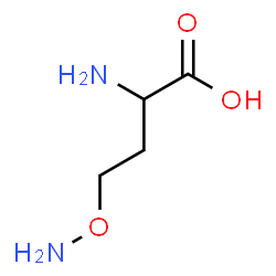 DL-Carnitine picture