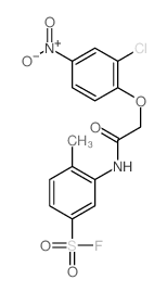 Benzenesulfonylfluoride, 3-[[2-(2-chloro-4-nitrophenoxy)acetyl]amino]-4-methyl-结构式
