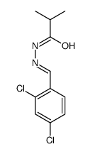 N-[(2,4-dichlorophenyl)methylideneamino]-2-methylpropanamide结构式