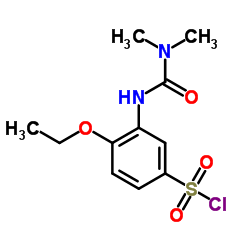 3-(3,3-DIMETHYL-UREIDO)-4-ETHOXY-BENZENESULFONYL CHLORIDE picture