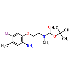 2-Methyl-2-propanyl [2-(2-amino-5-chloro-4-methylphenoxy)ethyl]methylcarbamate结构式