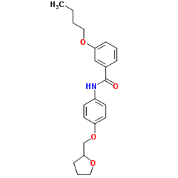3-Butoxy-N-[4-(tetrahydro-2-furanylmethoxy)phenyl]benzamide Structure