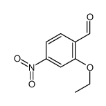 2-ethoxy-4-nitrobenzaldehyde结构式