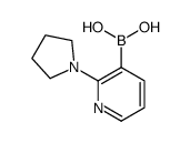 2-(吡咯烷-1-基)吡啶-3-硼酸结构式