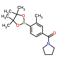 [3-Methyl-4-(4,4,5,5-tetramethyl-1,3,2-dioxaborolan-2-yl)phenyl](1-pyrrolidinyl)methanone结构式