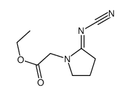ethyl 2-(2-cyanoiminopyrrolidin-1-yl)acetate Structure