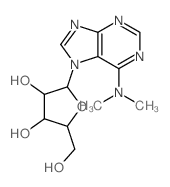 7H-Purin-6-amine,N,N-dimethyl-7-b-D-ribofuranosyl- picture