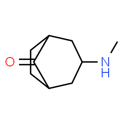 Bicyclo[3.2.1]octan-8-one, 3-(methylamino)-, (3-exo)- (9CI) Structure