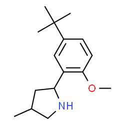 Pyrrolidine, 2-[5-(1,1-dimethylethyl)-2-methoxyphenyl]-4-methyl- (9CI) structure