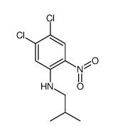 4,5-dichloro-N-(2-methylpropyl)-2-nitroaniline Structure