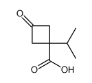 Cyclobutanecarboxylic acid, 1-(1-methylethyl)-3-oxo- (9CI) structure