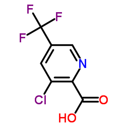 3-Chloro-5-(trifluoromethyl)pyridine-2-carboxylic acid picture