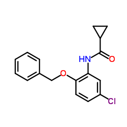 N-[2-(Benzyloxy)-5-chlorophenyl]cyclopropanecarboxamide结构式