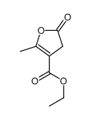 ethyl 5-methyl-2-oxo-3H-furan-4-carboxylate结构式