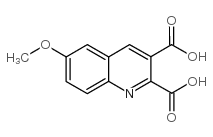 6-methoxyquinoline-2,3-dicarboxylic acid structure