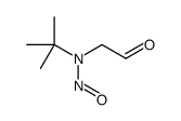 N-tert-butyl-N-(2-oxoethyl)nitrous amide Structure