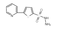 5-pyridin-2-ylthiophene-2-sulfonohydrazide Structure