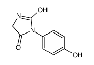 3-(4-hydroxyphenyl)imidazolidine-2,4-dione结构式