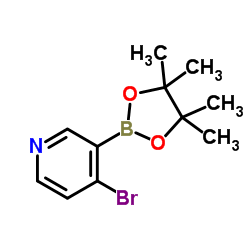 4-Bromo-3-(4,4,5,5-tetramethyl-1,3,2-dioxaborolan-2-yl)pyridine Structure