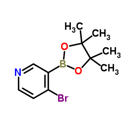 4-Bromo-3-(4,4,5,5-tetramethyl-1,3,2-dioxaborolan-2-yl)pyridine结构式