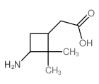 Cyclobutaneacetic acid,3-amino-2,2-dimethyl-结构式