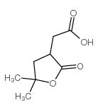 (5,5-二甲基-2-氧代四氢呋喃-3-基)-乙酸结构式