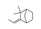 (Z)-3-ethylidene-2,2-dimethylbicyclo[2.2.1]heptane结构式