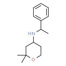 (2,2-DIMETHYL-TETRAHYDRO-PYRAN-4-YL)-(1-PHENYL-ETHYL)-AMINE picture