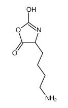 4-(4-aminobutyl)oxazolidine-2,5-dione Structure