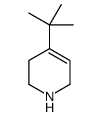 4-tert-butyl-1,2,3,6-tetrahydropyridine Structure