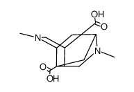 octahydro-2,6-dimethyl-3,8:4,7-dimethano-2,6-naphthyridine-4,8-dicarboxylic acid picture
