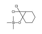 (7,7-dichloro-6-bicyclo[4.1.0]heptanyl)oxy-trimethylsilane结构式