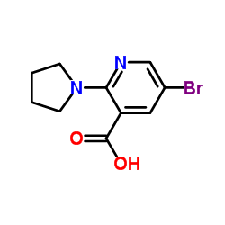 5-Bromo-2-(1-pyrrolidinyl)nicotinic acid Structure