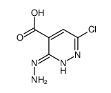 6-chloro-3-hydrazinylpyridazine-4-carboxylic acid structure