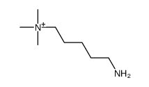 5-aminopentyl(trimethyl)azanium Structure