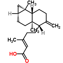 Metasequoic acid A structure