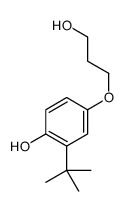 2-tert-butyl-4-(3-hydroxypropoxy)phenol结构式