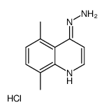 (5,8-dimethylquinolin-4-yl)hydrazine,hydrochloride Structure