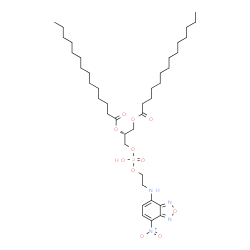1,2-二肉豆蔻酰基-sn-甘油-3-磷酸乙醇胺,7-硝基苯并呋喃山酯标记图片