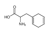 2-amino-3-(1,4-cyclohexadienyl)propanoic acid结构式