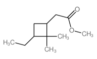 Cyclobutaneacetic acid,3-ethyl-2,2-dimethyl-, methyl ester结构式