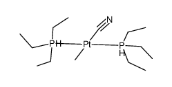 trans-{PtCH3(CN)(PEt3)2} Structure