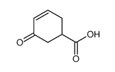5-oxocyclohex-3-ene-1-carboxylic acid Structure